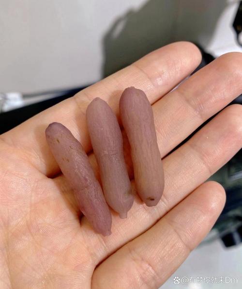 这个小东西竟然是这样进入你的
