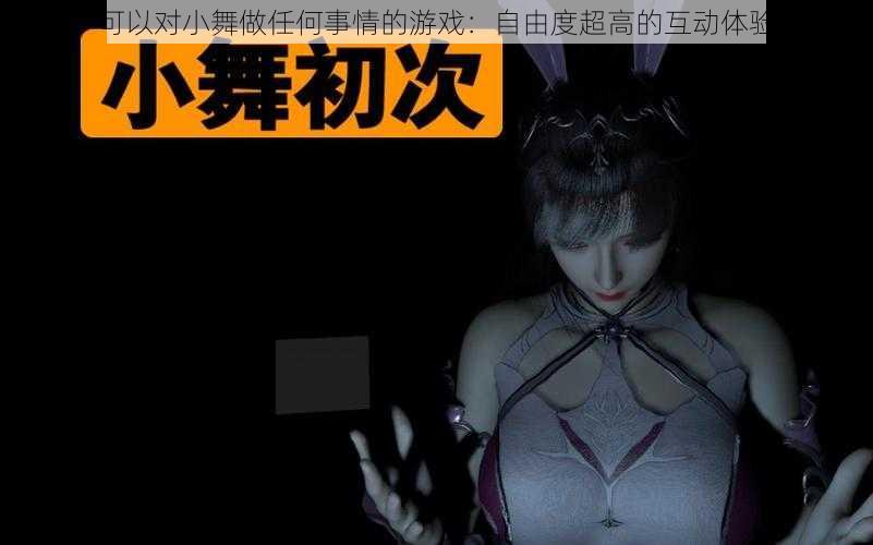 可以对小舞做任何事情的游戏:自由度超高的互动体验