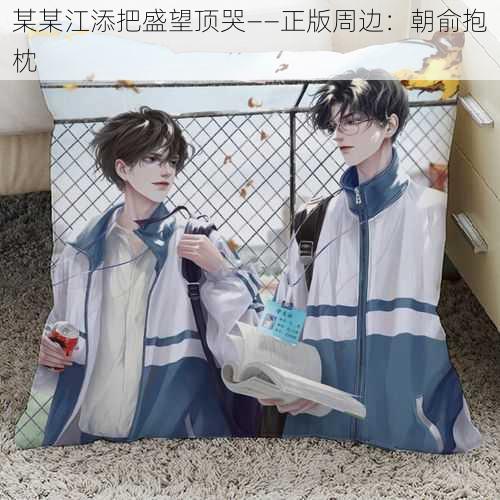 某某江添把盛望顶哭——正版周边:朝俞抱枕