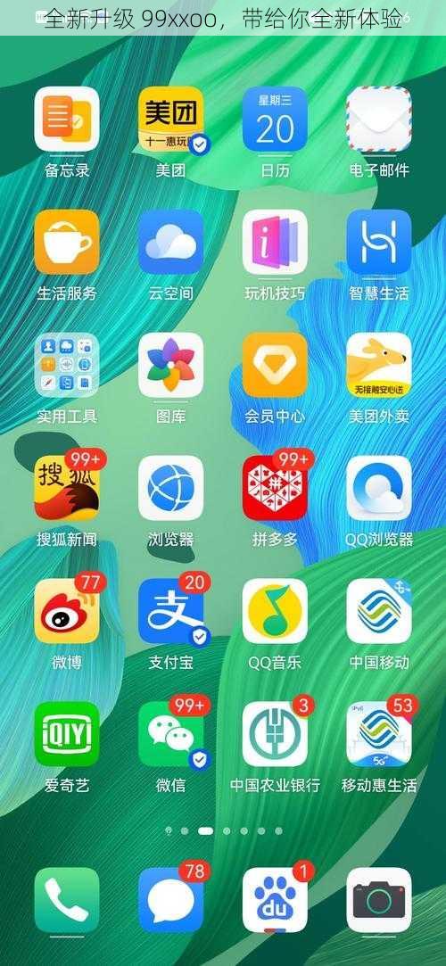 全新升级 99xxoo,带给你全新体验