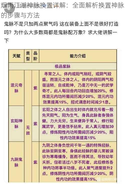 烟雨江湖神脉换置详解:全面解析换置神脉的步骤与方法