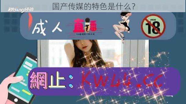 国产传媒的特色是什么?