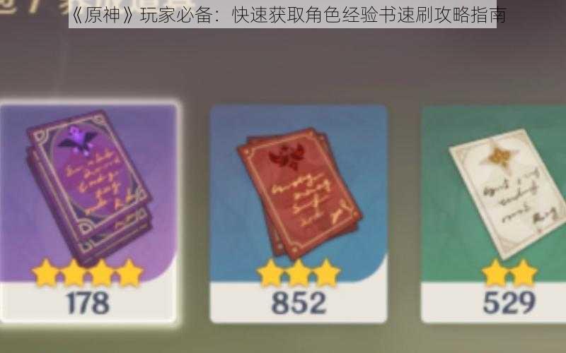 《原神》玩家必备:快速获取角色经验书速刷攻略指南