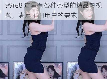 99re8 这里有各种类型的精品热视频,满足不同用户的需求