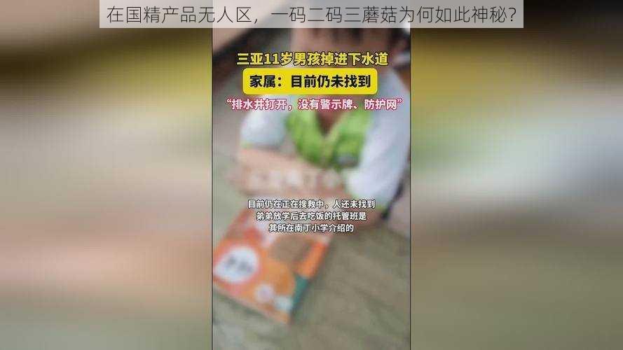在国精产品无人区,一码二码三蘑菇为何如此神秘?