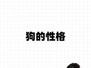 全民狗：钻石的奥秘与它在宠物领域的独特价值探索