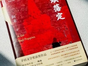 尘埃落定之试炼失衡解决策略研究：尘埃一决高下无法运行的解决方案探讨