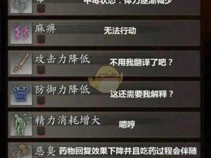 《深度解析：仁王2纯阴阳术全攻略》