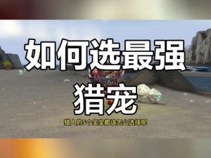 生存猎人专属宠物选择指南：最佳宝宝搭配策略揭秘