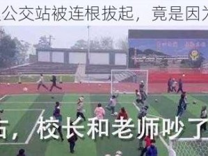 班级公交站被连根拔起，竟是因为它？