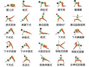 健身教练60话攻击部位下拉式 健身教练 60 话：下拉式攻击部位攻略