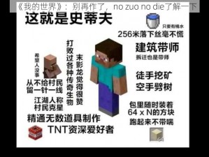 《我的世界》：别再作了，no zuo no die了解一下