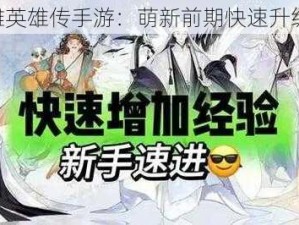 《射雕英雄传手游：萌新前期快速升级攻略》