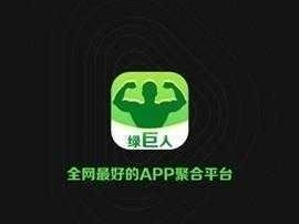 APP 聚合绿巨人黑科技，真的能解决你的痛点吗？