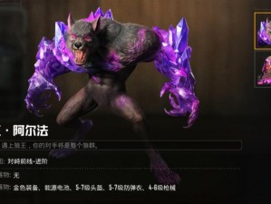 恶魔城暗影之王狼王无伤攻略大全：游戏技巧深度解析与实战指南