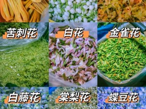 为什么两个人吃花核心会更健康？