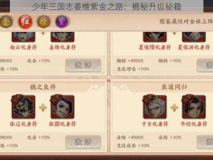 少年三国志姜维紫金之路：揭秘升级秘籍