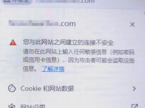 外国成人游戏网站是否存在安全隐患？如何保障个人信息安全？