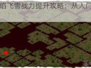 《烈焰飞雪战力提升攻略：从入门到精通》