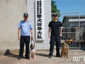 为什么找不到警犬第二部吕总百度网盘资源？如何获取警犬第二部吕总百度网盘资源？