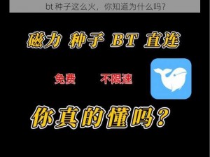 bt 种子这么火，你知道为什么吗？