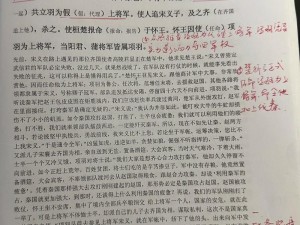 《无悔之路：秦楚汉流寇的打法技巧解析》