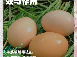 老牛嫩草一二三产品区别是什么？为何依旧无任何限制？