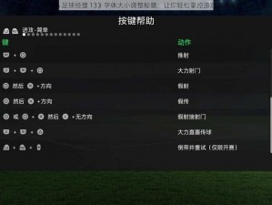 《FIFA 足球经理 13》字体大小调整秘籍：让你轻松掌控游戏界面》