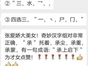 奇妙汉字安装与配置指南：从安装步骤到配置说明详解