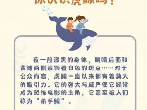 探索量子特攻世界：了解虎鲸属性，掌握实用技巧