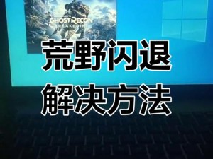 幽灵行动4汉化补丁应用后无法进入游戏解决办法详解