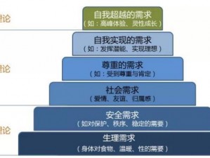 西方人性理论和 XY 理论对团队管理有何影响？如何结合应用提升团队绩效？