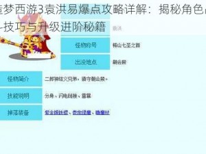 造梦西游3袁洪易爆点攻略详解：揭秘角色战斗技巧与升级进阶秘籍