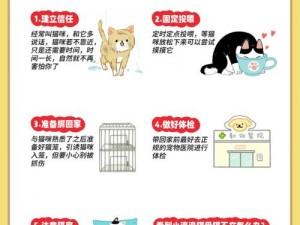 全民救猫行动：猫咪安装救助设施与配置指南详解