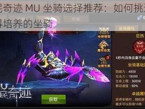 全民奇迹 MU 坐骑选择推荐：如何挑选最值得培养的坐骑