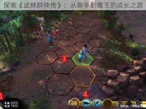 探索《武林群侠传》：从新手到毒王的成长之路