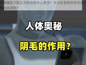 毛茸茸的又肥又大的岳是什么意思？女生私密部位的毛发为何如此浓密？