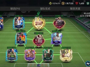 FIFA14精选：71种独特球场种类一览及其介绍