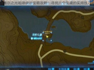 塞尔之光咆哮峡谷宝箱攻略：寻找八个宝藏的实用技巧