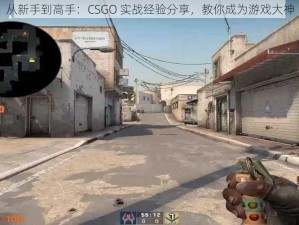 从新手到高手：CSGO 实战经验分享，教你成为游戏大神