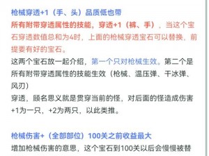 《讨鬼传》枪战心得：深入解析枪支使用技巧与战斗策略