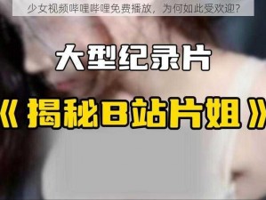 少女视频哔哩哔哩免费播放，为何如此受欢迎？