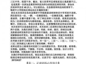 《2012足球经理之旅：我的经验与心得》