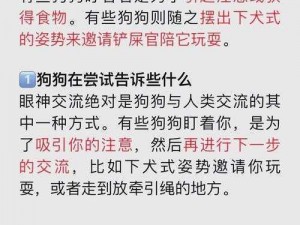 看门狗停止工作怎么办？实用解决方法大揭秘