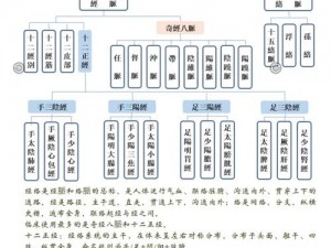 九阴真经少林三内任务攻略：揭秘内门修行流程与秘籍解密