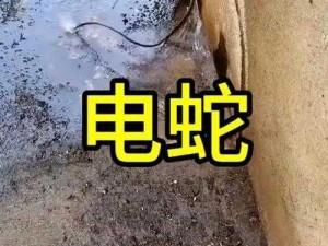 小女孩捡到一条蛇，通电后为何会无限变大？