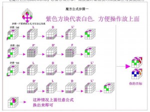 《魔方世界Cubeworld》忍者心得分享：高效循环输出技巧深度解析与实战应用