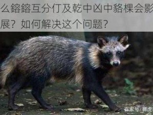 为什么鎔鎔互分仃及乾中凶中貉棵会影响企业发展？如何解决这个问题？