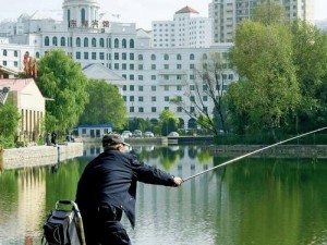 卧虎藏龙之地揭秘：掌握钓鲢鱼之道的技巧与艺术——探寻最佳钓饵与策略之道