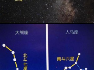 大主宰MAX伙伴攻略详解：六星伙伴能力进阶指南与七星伙伴获取途径探索